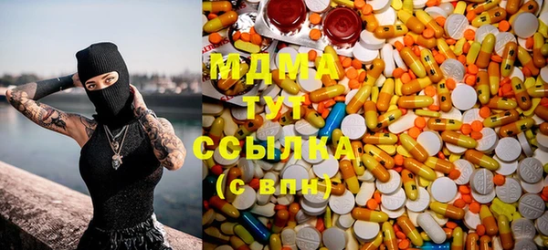 спиды Болотное