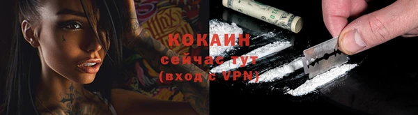 дживик Волоколамск